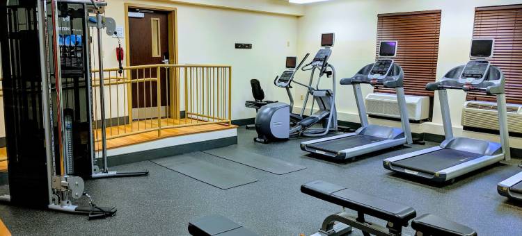 巴尔的摩BWI机场蔚景温德姆酒店(Wingate by Wyndham Baltimore BWI Airport)图片