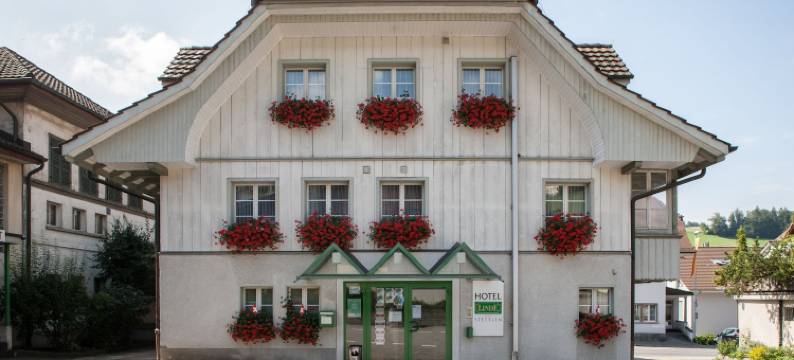 林德斯泰莱赛米娜酒店(Seminarhotel Linde Stettlen)图片