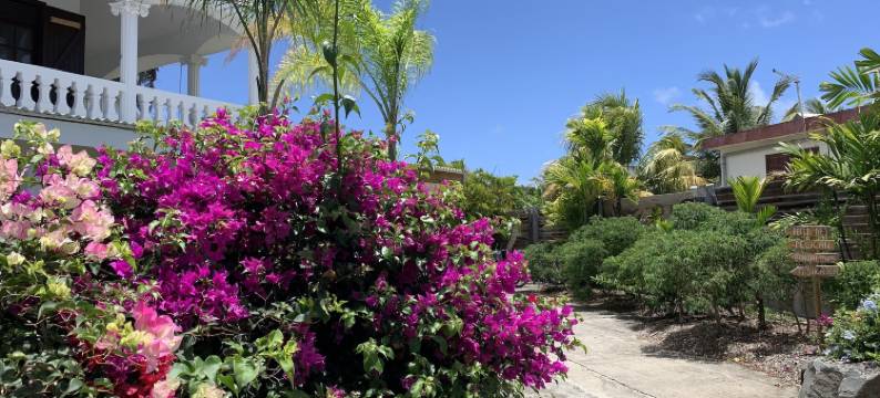 圣弗朗索瓦庄园(Domaine Saint-François)图片