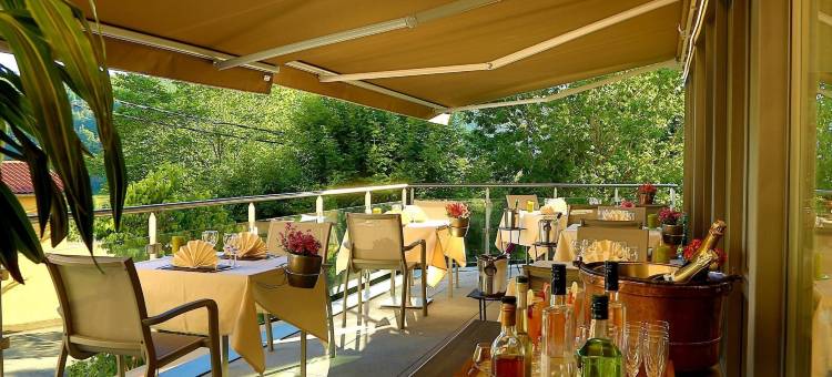 普罗旺斯酒店(Logis Hotel Spa Restaurant le Provence)图片