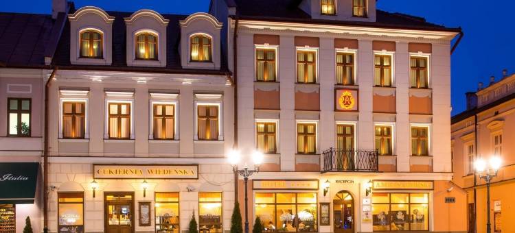 阿蒙吧萨多斯基热舒夫酒店(Hotel Ambasadorski Rzeszów)图片