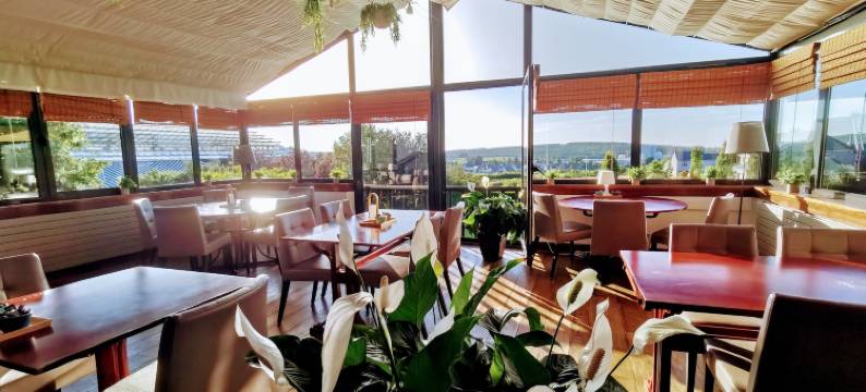 拉曼迪尔酒店(Hôtel l'Amandier)图片