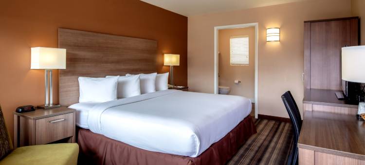 博尔德大学汽车旅馆(Boulder University Inn)图片