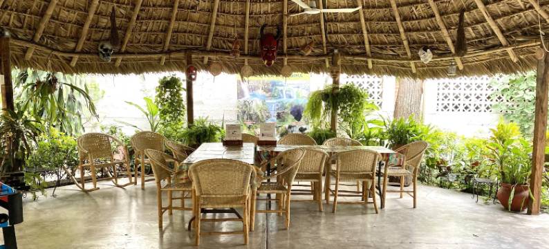 胡阿斯特卡青年旅舍民宿(Hostal Casa Huasteca)图片