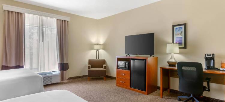 索科罗舒适套房酒店(Comfort Inn & Suites)图片