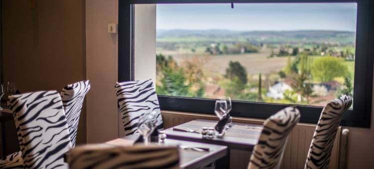 拉巴斯蒂德奥里维罗基斯酒店(Logis Hôtel la Bastide des Oliviers)图片