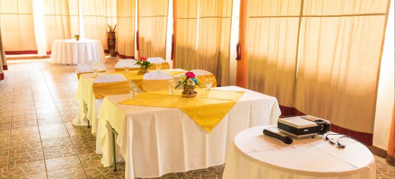 罗斯奎乔斯豪宅酒店(Mansión Los Guichos)图片