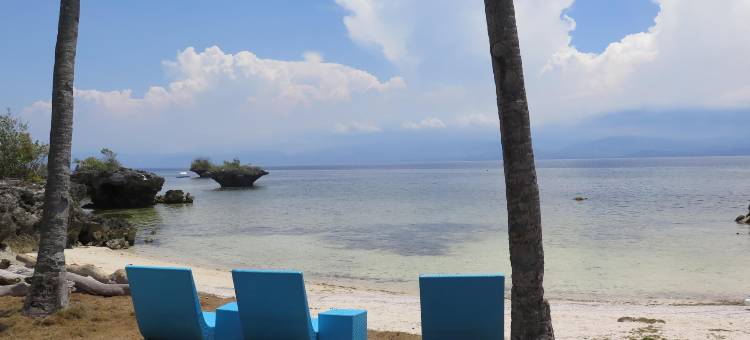 野兰花度假村(The Wild Orchid Resort - Moalboal)图片