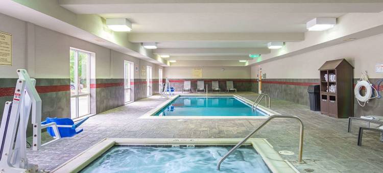 舒适套房酒店-维吉尼亚购物中心(Comfort Suites at Virginia Center Commons)图片