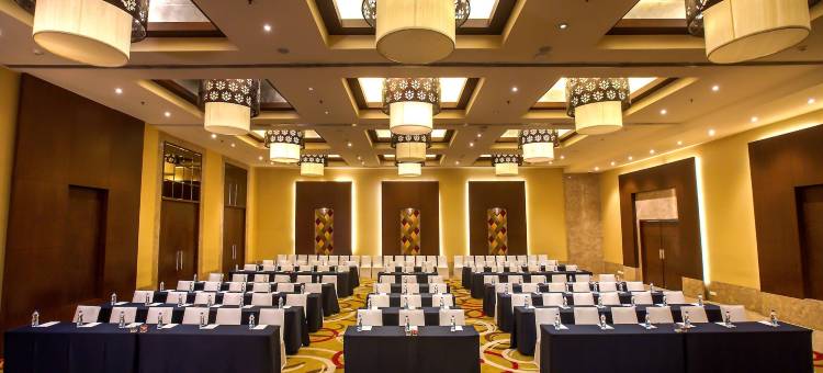 金奈市中心丽笙酒店(Radisson Chennai City Centre, India)图片