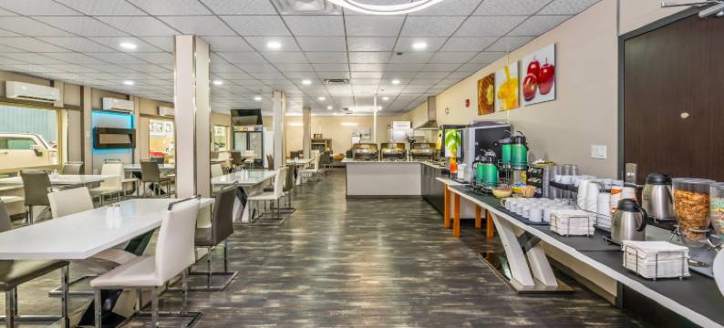 凯艺酒店(Quality Inn Sunshine Suites)图片