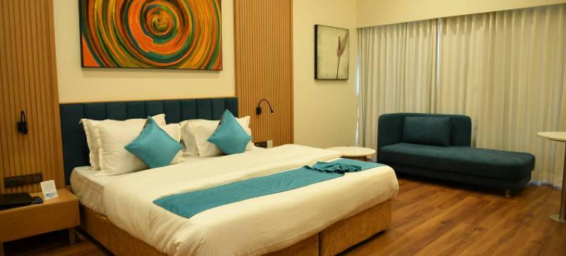 布鲁艾维酒店(Hotel Blueivy Anand)图片