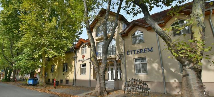 普兰滕酒店(Hotel Platan)图片