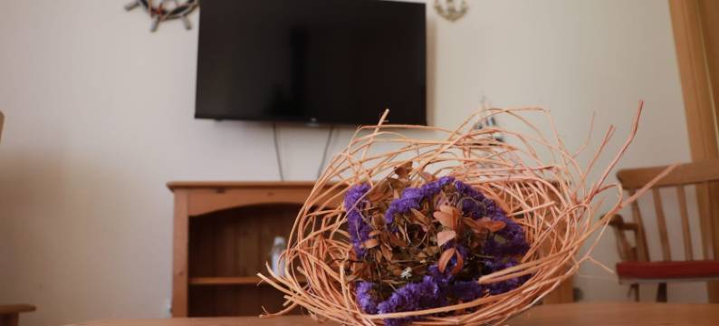 Fantastic apartment with pool access图片