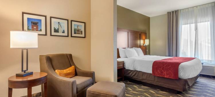 罗拉舒适套房酒店(Comfort Suites)图片