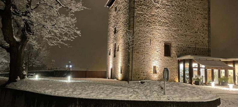 托雷祖迈泰利酒店(Hotel Torre Zumeltzegi)图片