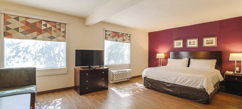 Holiday Inn 雷诺萨，工业PONIENTE(Holiday Inn REYNOSA-INDUSTRIAL PONIENTE by IHG)图片