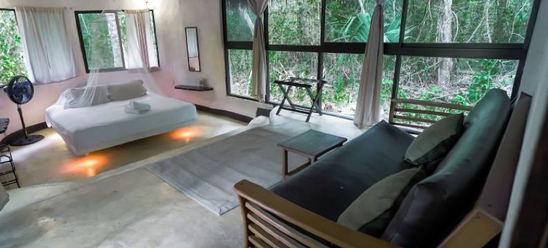 乔丽丛林生态酒店(Jolie Jungle Eco Hotel)图片