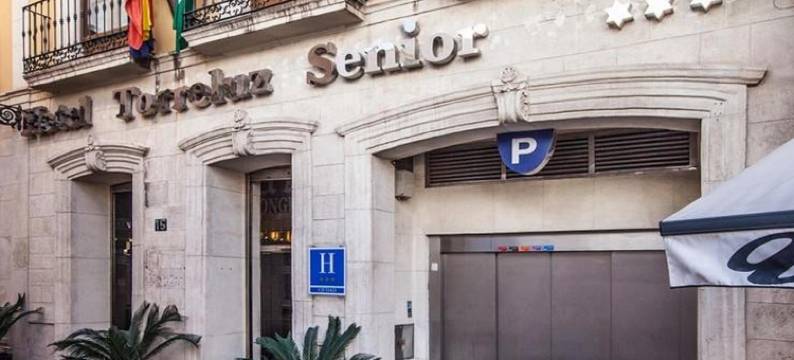 托利鲁斯高级酒店(Crisol Almería)图片