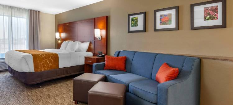 奥什科什舒适套房酒店(Comfort Suites)图片