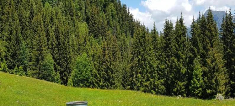 Apartment in Doucy near Ski Slopes图片