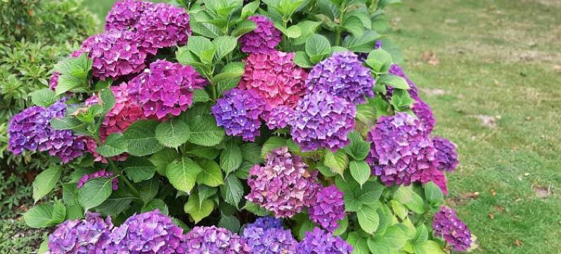 Tour de France Retreat图片