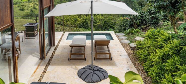 菲兰迪亚小屋(La Casita Filandia)图片