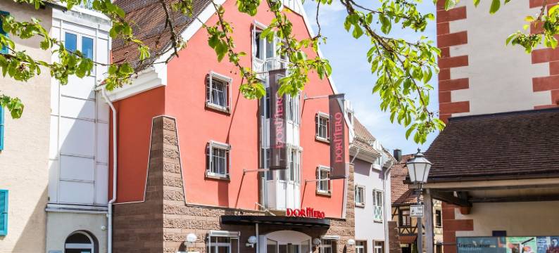 维连根-宪汶宁多梅洛酒店(Dormero Hotel Villingen-Schwenningen)图片