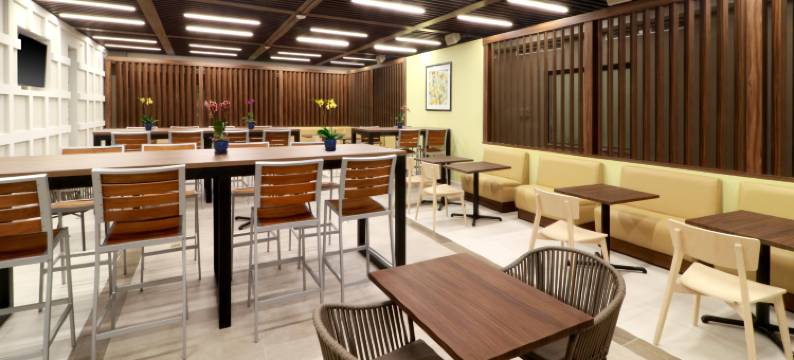 卡曼海滩智选假日套房酒店(Holiday Inn Express & Suites PLAYA DEL CARMEN by IHG)图片