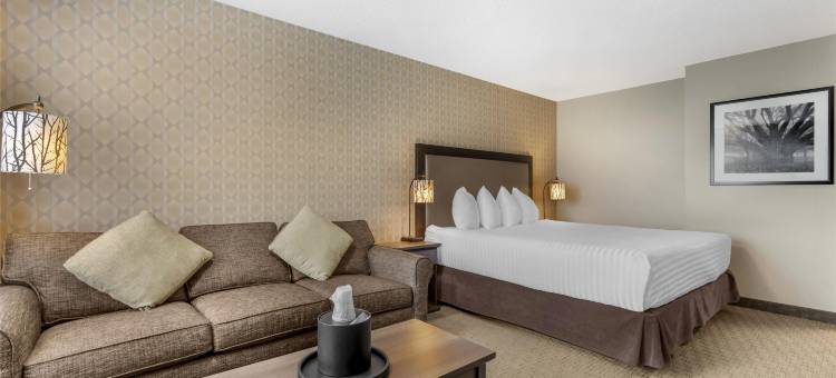 乡村牧场贝斯特韦斯特优质酒店(Best Western Plus Country Meadows Inn)图片