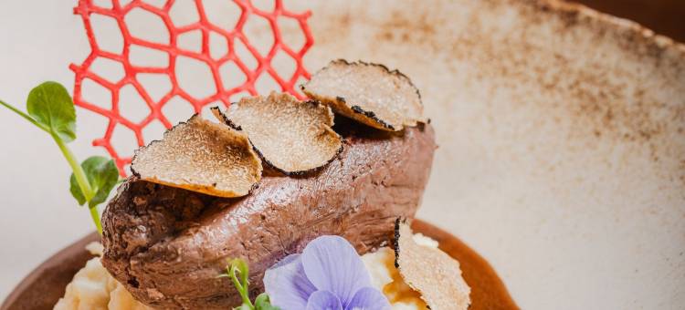 弗洛里蒙布理特酒店(Brit Hotel Florimont)图片