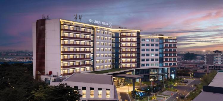 金沙萨金城绿洲金郁金香酒店(Golden Tulip Kin-Oasis Kinshasa)图片