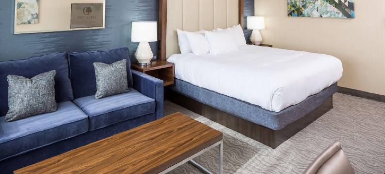 波士顿安多弗希尔顿逸林酒店(DoubleTree by Hilton Boston - Andover)图片