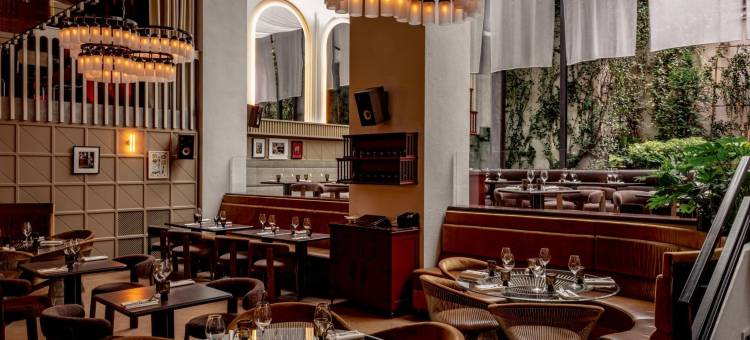 实验马雷(Experimental Marais)图片