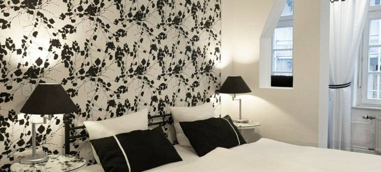 莱因经典酒店(Rein Klassik Hotel)图片