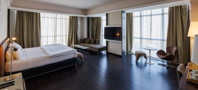 Esplendor by Wyndham Mendoza图片