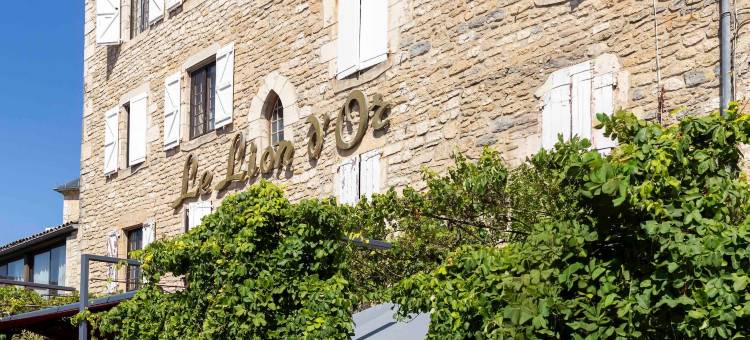 雄狮酒店(Logis Hôtels - Hôtel et Restaurant le Lion d'Or)图片