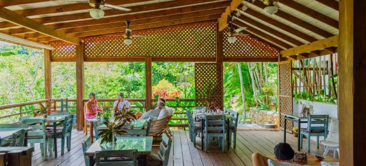 克拉夫弗德生态山林小屋(Clave Verde Ecolodge)图片