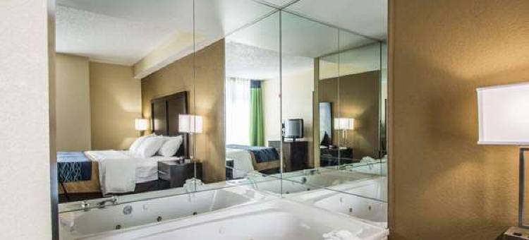 兰坦纳西棕榈滩舒适套房酒店(Comfort Inn & Suites Lantana - West Palm Beach South)图片