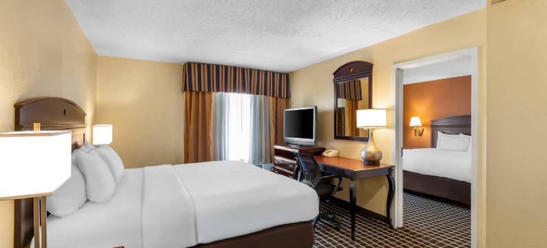 萨默塞特新不伦瑞克舒适套房酒店(Comfort Inn & Suites Somerset - New Brunswick)图片