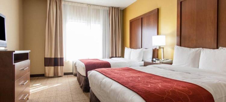 舒适套房酒店-中心/44号州际公路(Comfort Suites Central-I-44)图片
