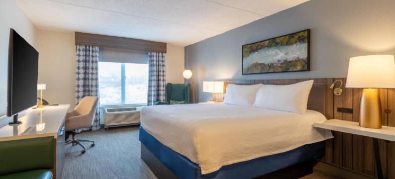 奥本利弗沃奇希尔顿花园酒店(Hilton Garden Inn Auburn Riverwatch)图片