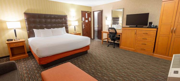 德鲁里酒店及套房-圣路易斯联合车站(Drury Inn and Suites St Louis Union Station)图片