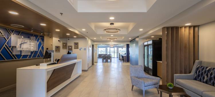 智选假日套房酒店苏中心(Holiday Inn Express & Suites SIOUX CENTER by IHG)图片