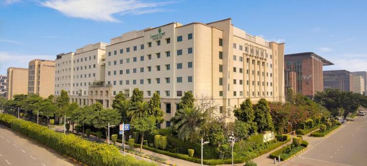 德里机场 Lemon Tree 酒店(Lemon Tree Hotel, Delhi Airport)图片