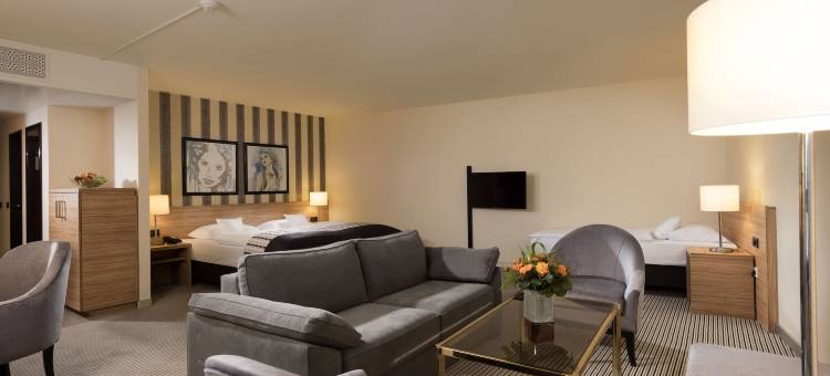 玛丽蒂姆柯尼希斯温特酒店(Maritim Hotel Königswinter)图片