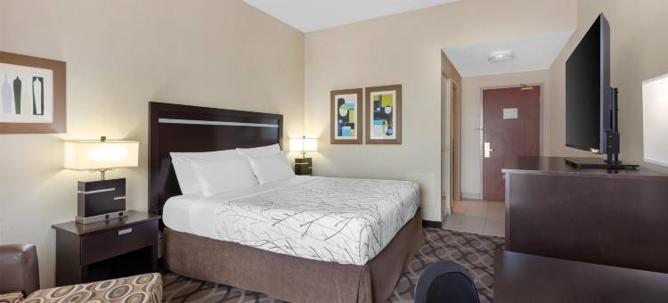 多伦多机场旅行贝斯特韦斯特优质酒店(Best Western Plus Travel Hotel Toronto Airport)图片