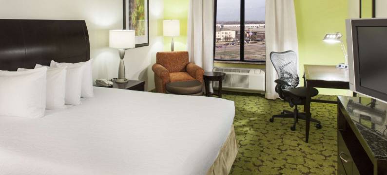 达拉斯李维斯维尔希尔顿花园酒店(Hilton Garden Inn Dallas Lewisville)图片