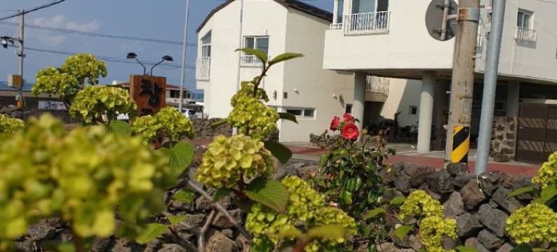 哈尼豪斯度假屋(Hani Haus)图片