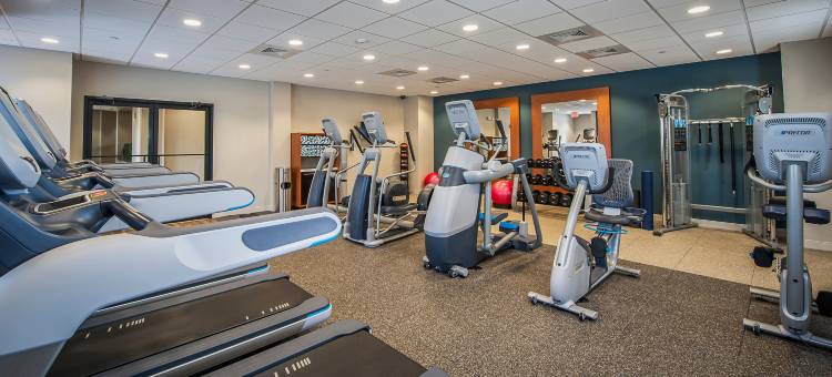 西棕榈滩机场希尔顿逸林酒店及度假村(DoubleTree by Hilton Hotel West Palm Beach Airport)图片